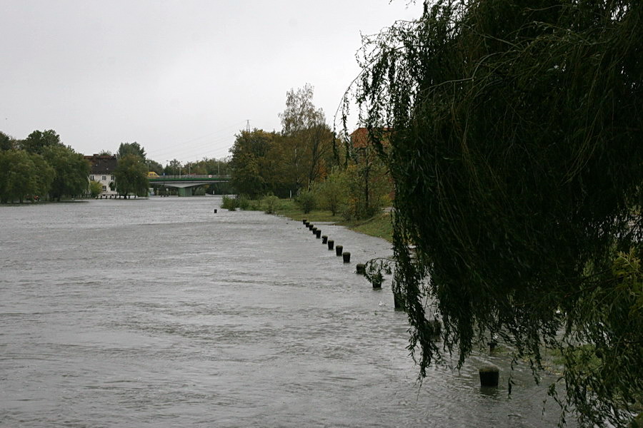 Podtopienia spowodowane cofk do rzeki Elblg, fot. 28