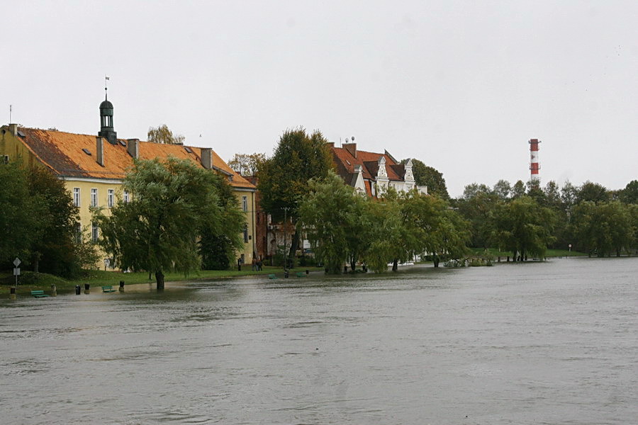 Podtopienia spowodowane cofk do rzeki Elblg, fot. 29