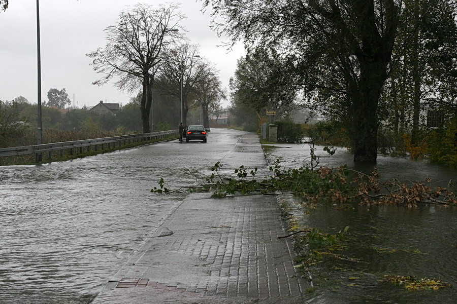 Podtopienia spowodowane cofk do rzeki Elblg, fot. 36