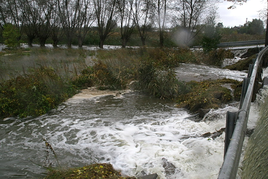 Podtopienia spowodowane cofk do rzeki Elblg, fot. 39