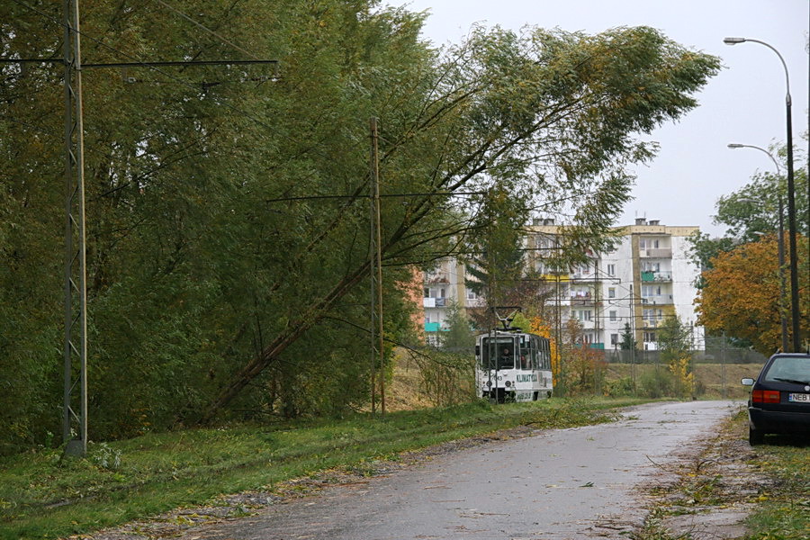 Podtopienia spowodowane cofk do rzeki Elblg, fot. 51