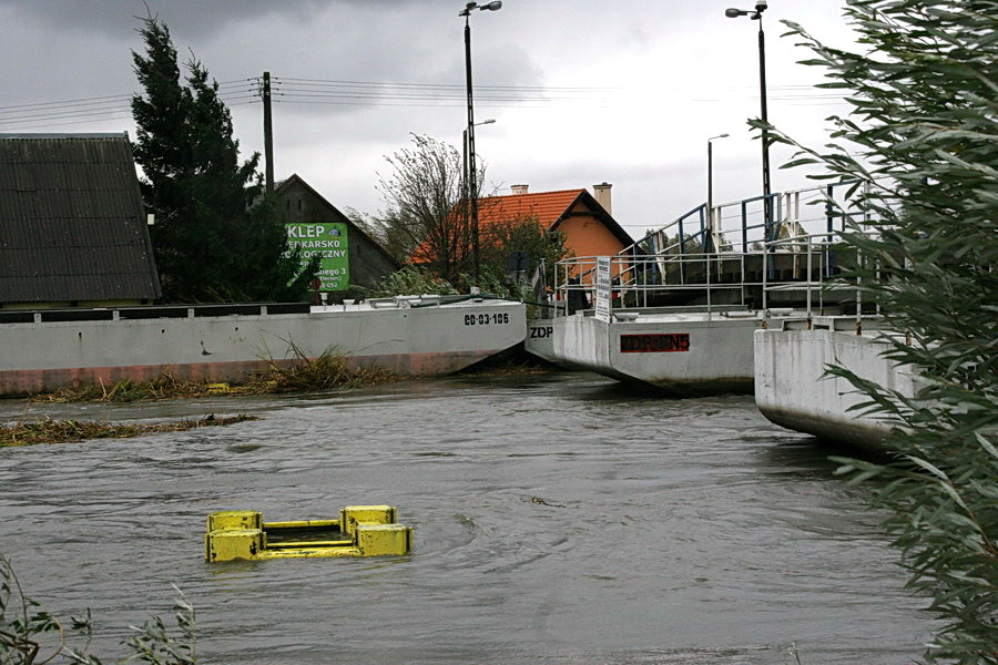 Podtopienia spowodowane cofk do rzeki Elblg, fot. 59