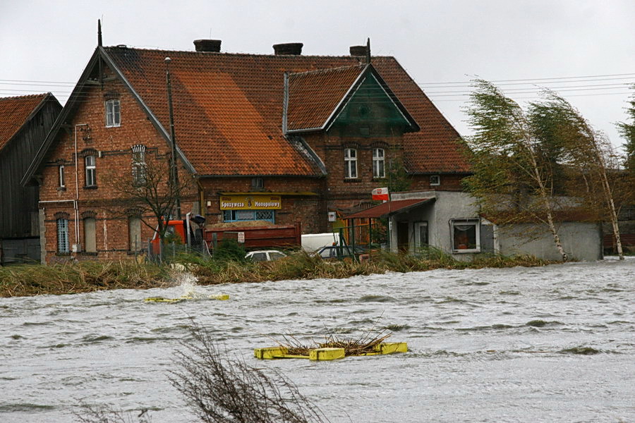 Podtopienia spowodowane cofk do rzeki Elblg, fot. 60