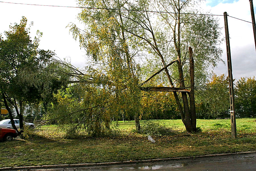 Skutki podtopie po silnych wiatrach w Elblgu, fot. 22