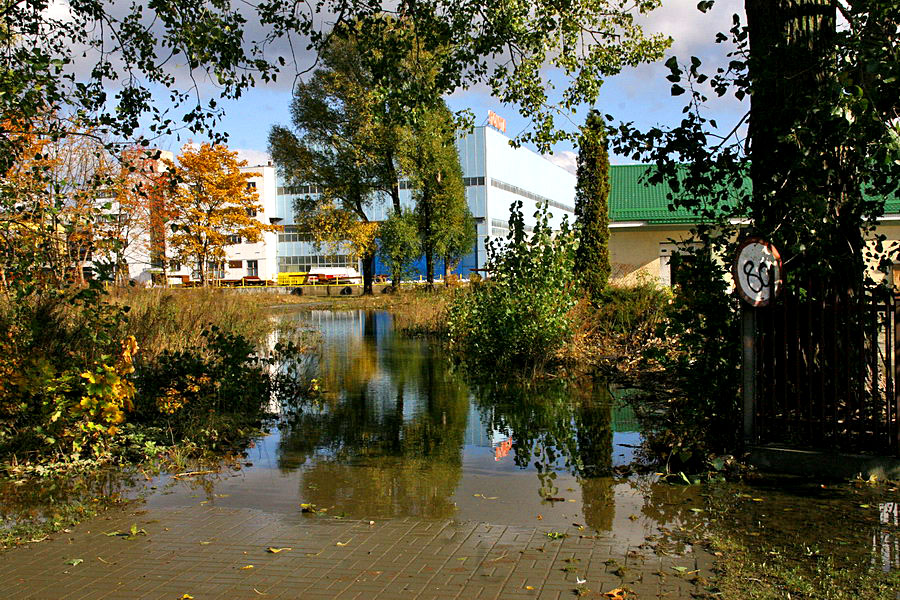 Skutki podtopie po silnych wiatrach w Elblgu, fot. 38