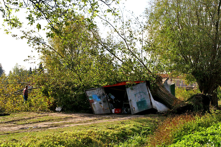 Skutki podtopie po silnych wiatrach w Elblgu, fot. 62