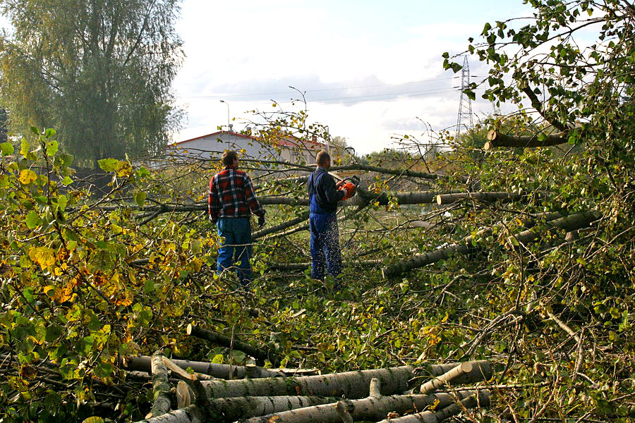 Skutki podtopie po silnych wiatrach w Elblgu, fot. 64