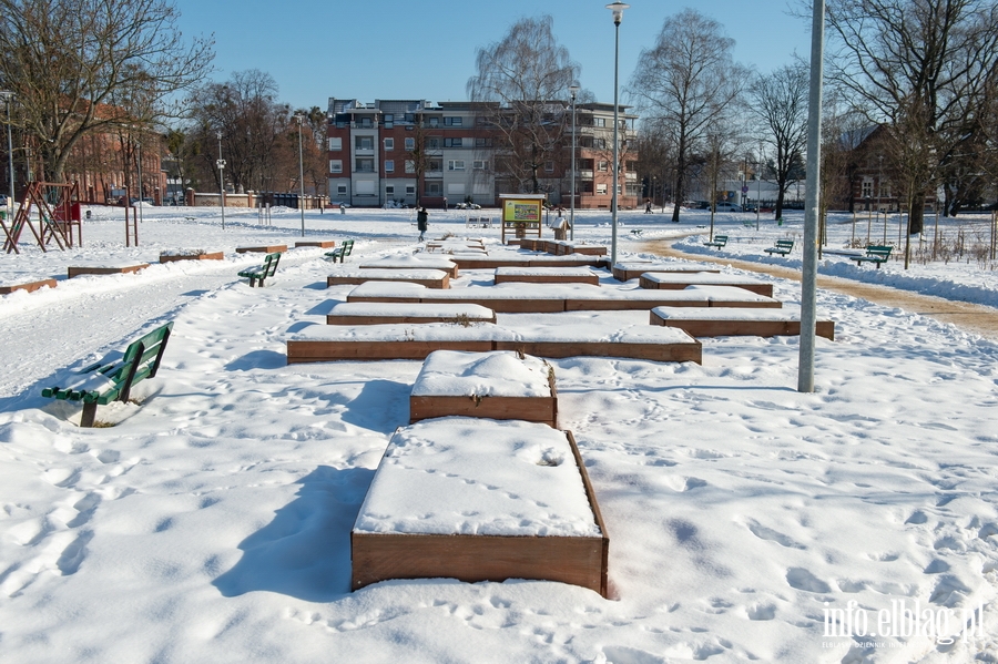 Park im. Generaa Bolesawa Nieczuja-Ostrowskiego zimow por, fot. 24