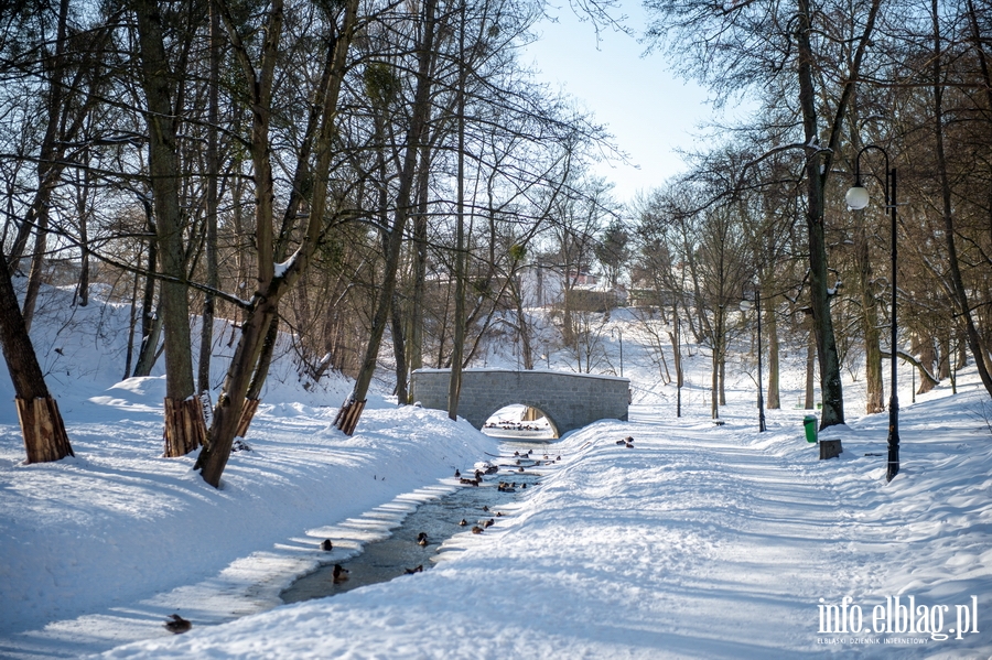 Park Dolinka zimow por, fot. 49