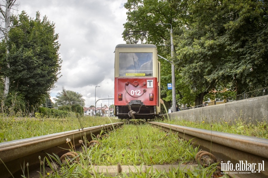 Wycieczka z przewodnikiem tramwajem linii  ,,T'', fot. 34