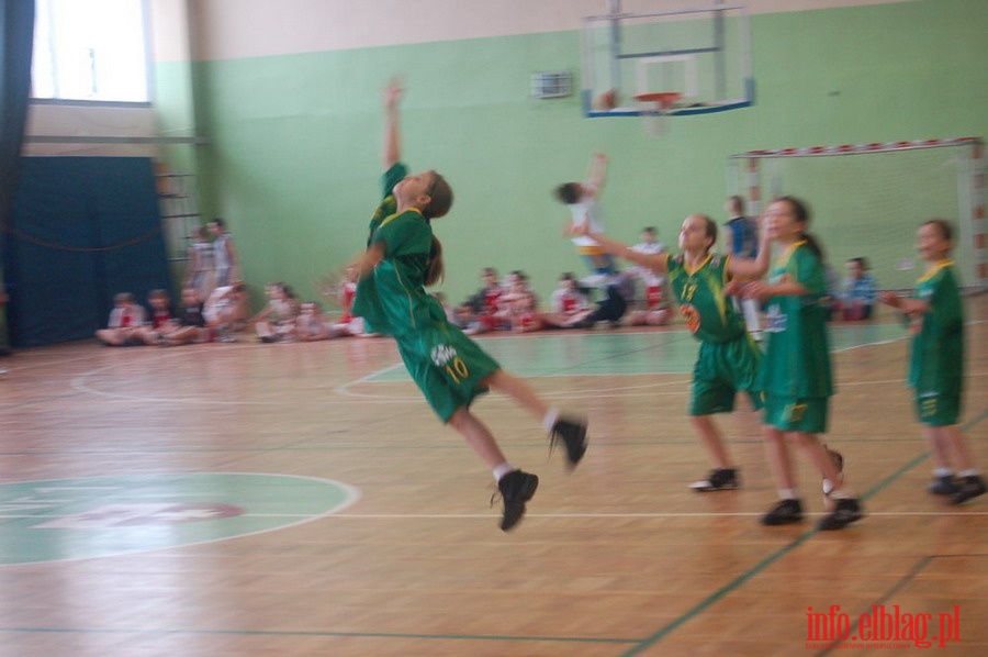 Elbasket 2010, fot. 56