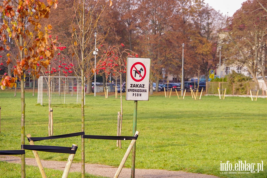 Park Gen. Nieczuja-Ostrowskiego przy ul. Mickiewicza, fot. 38