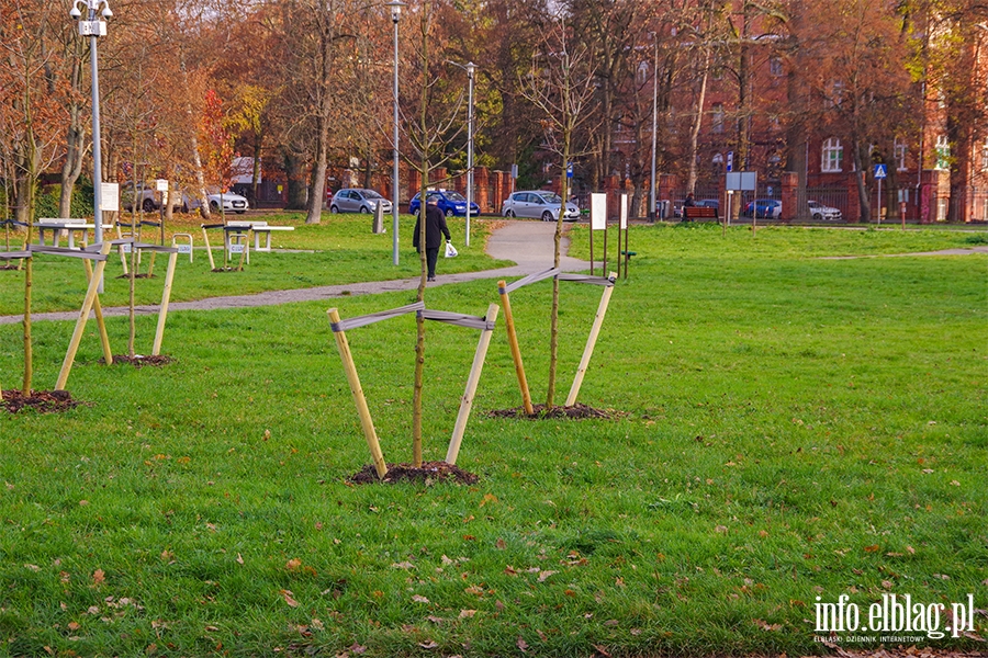 Park Gen. Nieczuja-Ostrowskiego przy ul. Mickiewicza, fot. 44