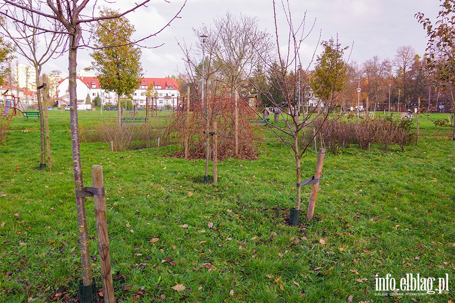 Park Gen. Nieczuja-Ostrowskiego przy ul. Mickiewicza, fot. 46