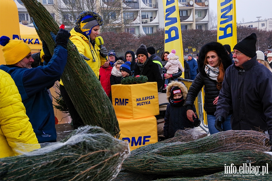 Konwj RMF FM zawita do Elblga. Rozdano 500 drzewek, chtnych byo wicej, fot. 54