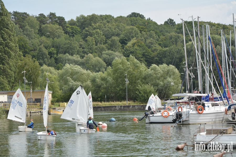 Jachtklub Elblg - Regaty klasy Optimist - Puchar Mariny Elblg, fot. 19