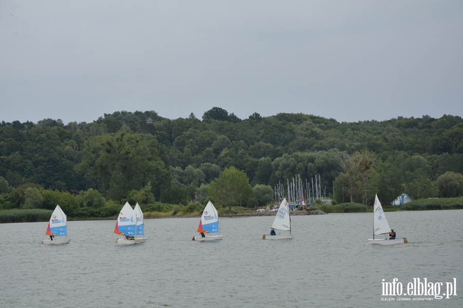 Jachtklub Elblg - Regaty klasy Optimist - Puchar Mariny Elblg, fot. 36