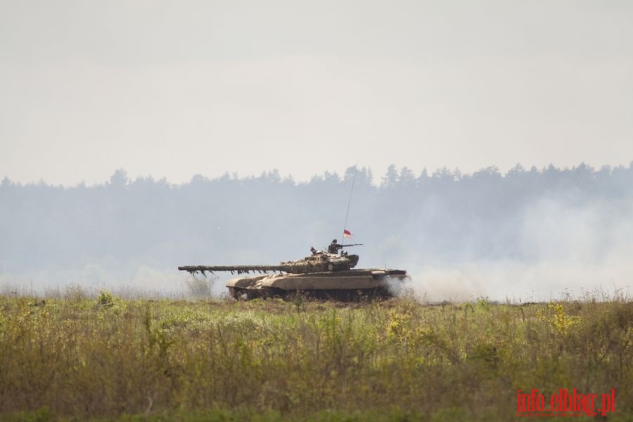 wiczenia taktyczne z wojskami 16 PDZ pn.  Dzik 10 - Media Day i Vip Day, fot. 38