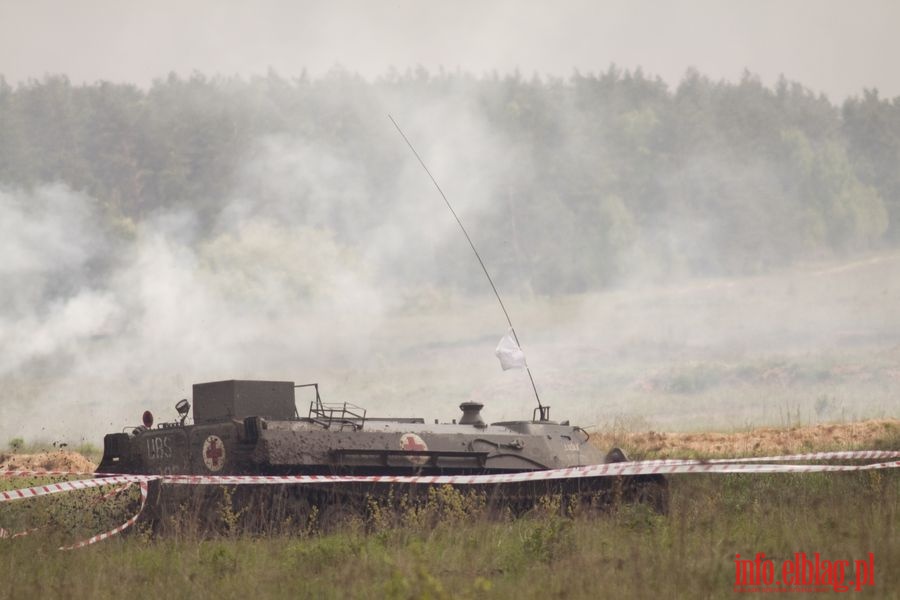 wiczenia taktyczne z wojskami 16 PDZ pn.  Dzik 10 - Media Day i Vip Day, fot. 39