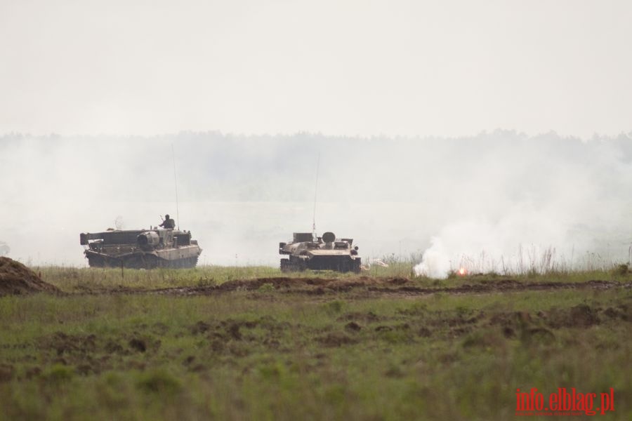 wiczenia taktyczne z wojskami 16 PDZ pn.  Dzik 10 - Media Day i Vip Day, fot. 44