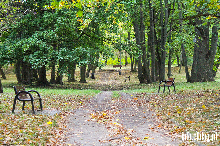 Okrg1. Park Modrzewia, fot. 16