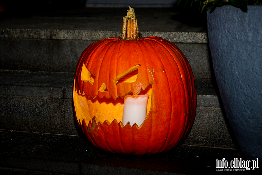 Halloween zdobywa coraz wicej zwolennikw? Zobacz, jak bawili si elblanie , fot. 22