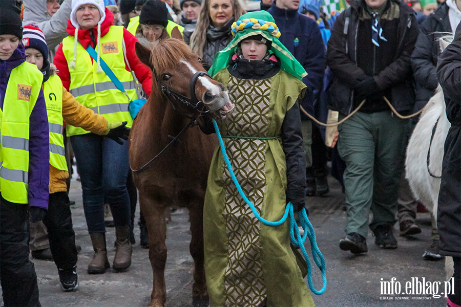 Jaseka w Elblgu. Orszak Trzech Krli przeszed ulicami miasta, fot. 19