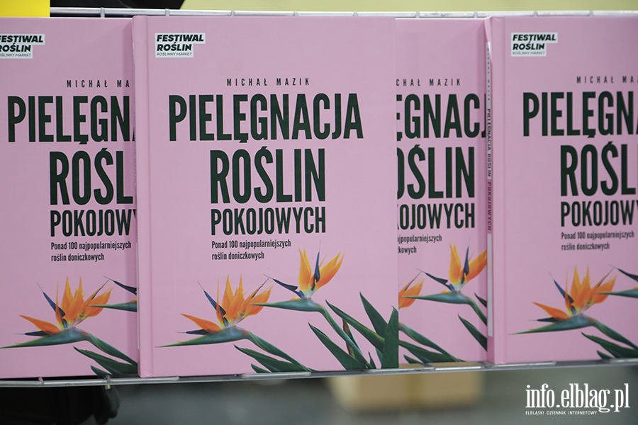  Kilka tysicy elblan przybyo na Festiwal Rolin, fot. 21