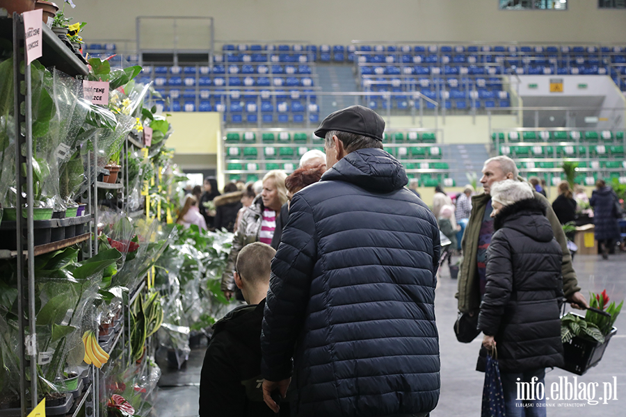  Kilka tysicy elblan przybyo na Festiwal Rolin, fot. 26