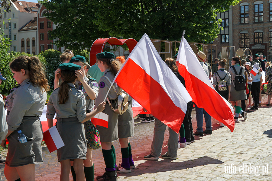 Mieszkacy Elblga przeszli ulicami z 50-metrow flagPolski , fot. 5