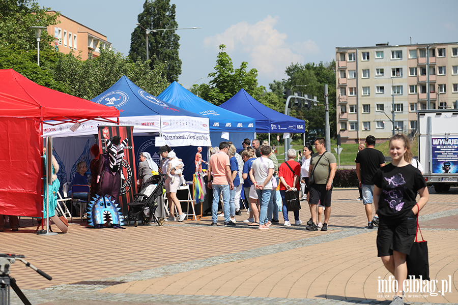 20 lat Polski w Unii Europejskiej. Elblanie wsplnie wituj podczas pikniku, fot. 17