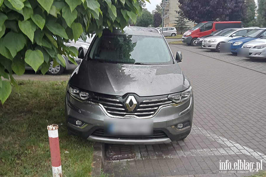 Mistrzowie Parkowania w Elblgu (cz 340), fot. 11