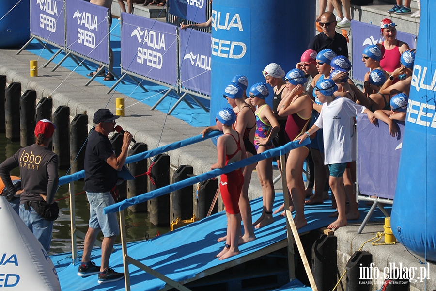 Aqua Speed Open Water Series w Elblgu, fot. 11