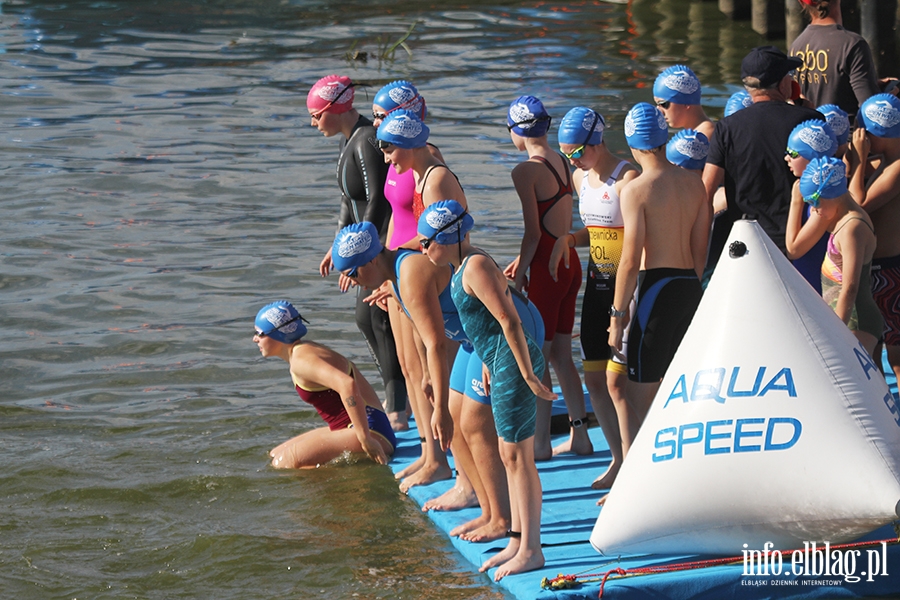 Aqua Speed Open Water Series w Elblgu, fot. 13