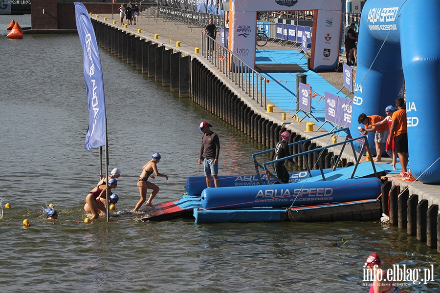 Aqua Speed Open Water Series w Elblgu, fot. 17