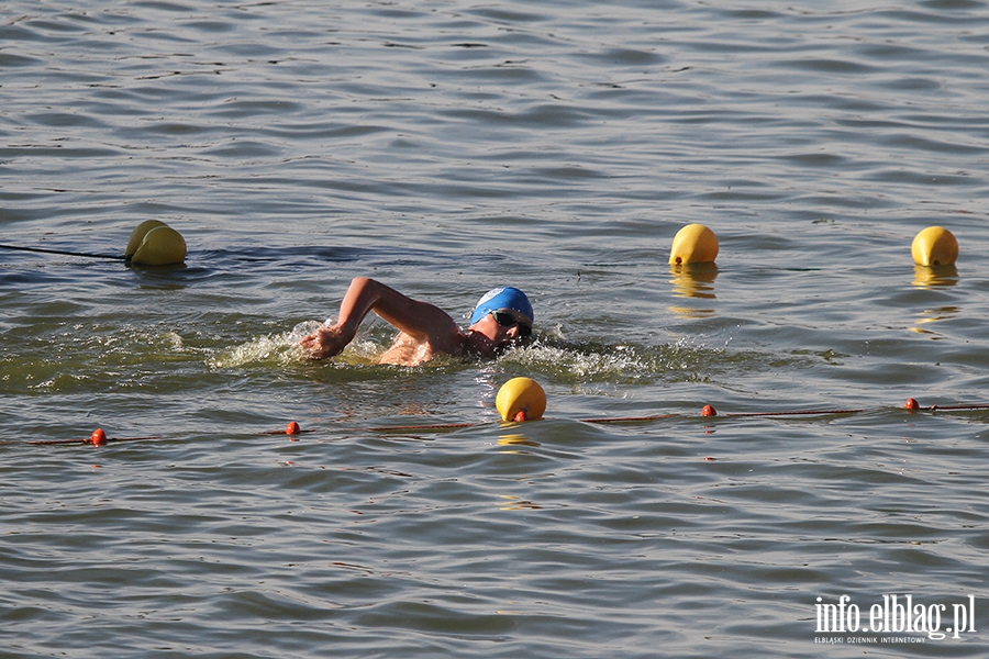 Aqua Speed Open Water Series w Elblgu, fot. 42