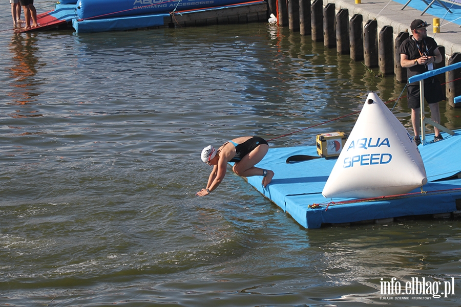 Aqua Speed Open Water Series w Elblgu, fot. 52