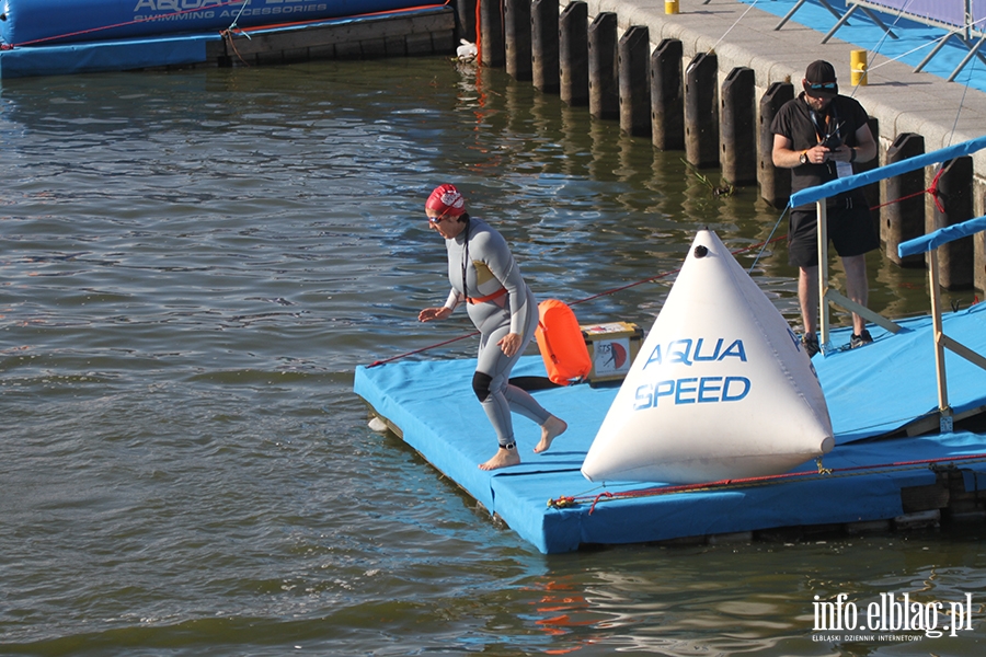 Aqua Speed Open Water Series w Elblgu, fot. 54