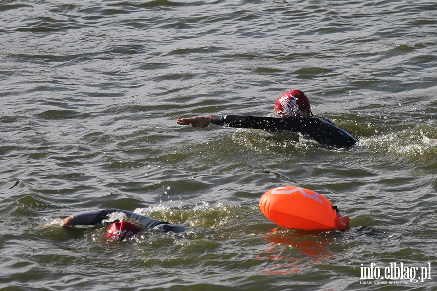 Aqua Speed Open Water Series w Elblgu, fot. 57