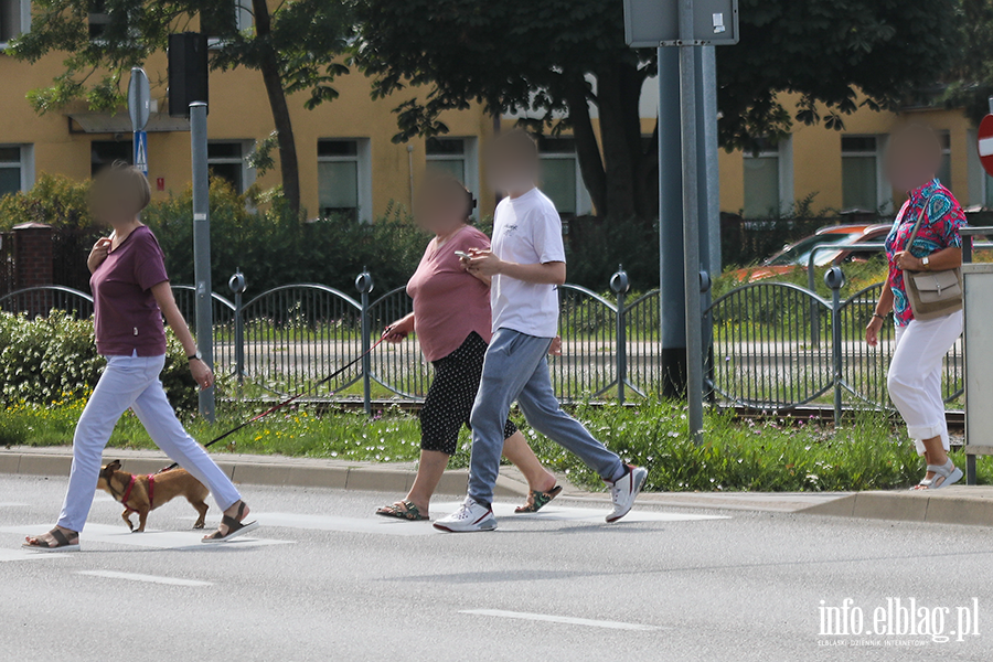 Korzystanie z telefonw na przejciach dla pieszych, fot. 12