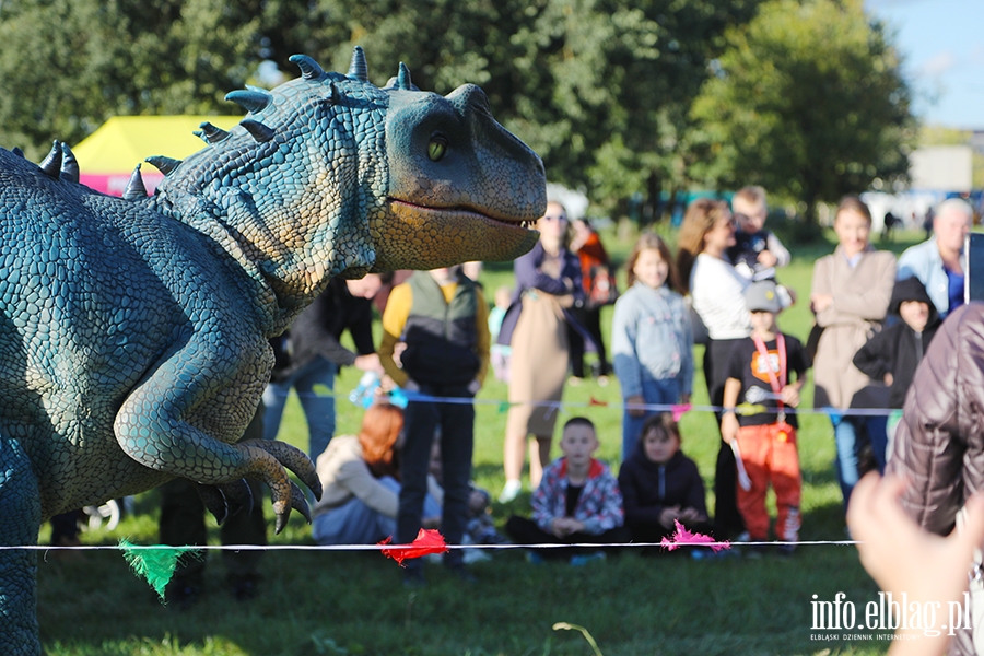 Zabawa z dinozaurami na Wyspie Spichrzw, fot. 10