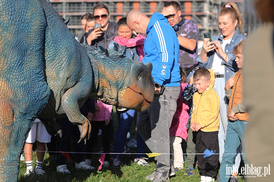 Zabawa z dinozaurami na Wyspie Spichrzw, fot. 12