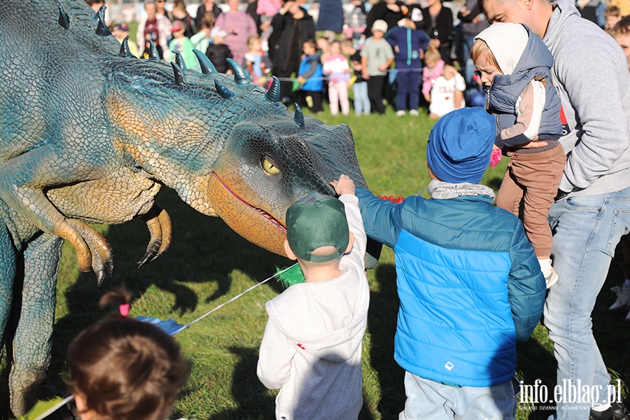 Zabawa z dinozaurami na Wyspie Spichrzw, fot. 17