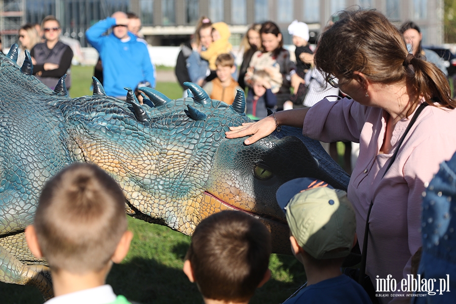 Zabawa z dinozaurami na Wyspie Spichrzw, fot. 18