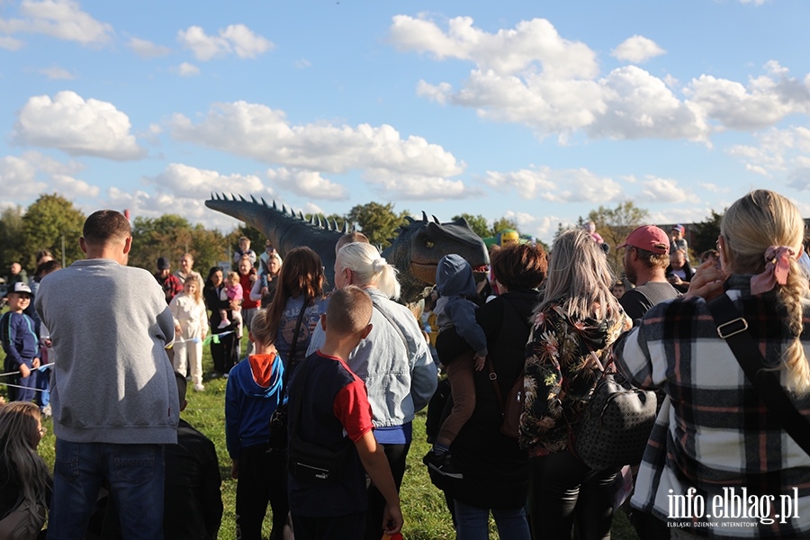 Zabawa z dinozaurami na Wyspie Spichrzw, fot. 21