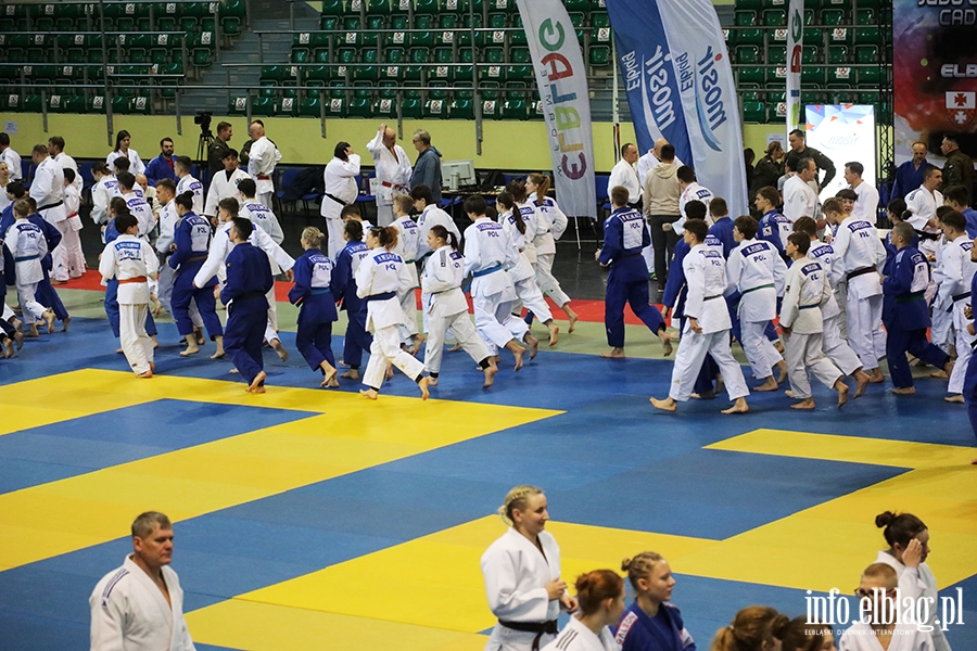 Modzi judocy szkol si pod okiem najlepszych trenerw, fot. 9