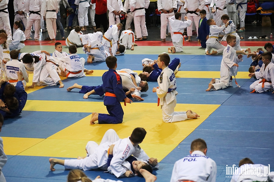 Modzi judocy szkol si pod okiem najlepszych trenerw, fot. 29