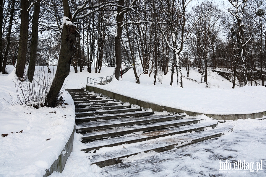 Elblg- Pierwszy nieg tej zimy, fot. 37