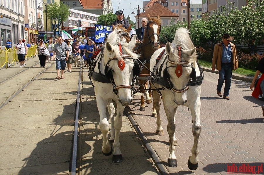 Juwenalia Elblskie 2011 - przemarsz studentw ulicami Elblga, fot. 19