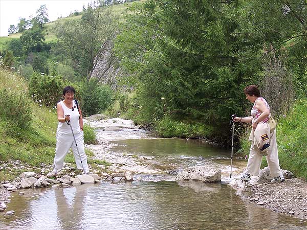 Konkurs Powakacyjny 2005, fot. 12